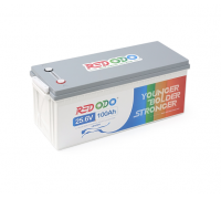 Акумуляторна батарея Redodo 25.6V 100Ah 2560Wh LiFePO4 (100/100A)(532*207*215)