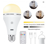 Лампочка USB-C - 3кольори, з пультом /регулювання яскравості/таймером, 1800 мАч